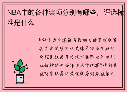 NBA中的各种奖项分别有哪些，评选标准是什么